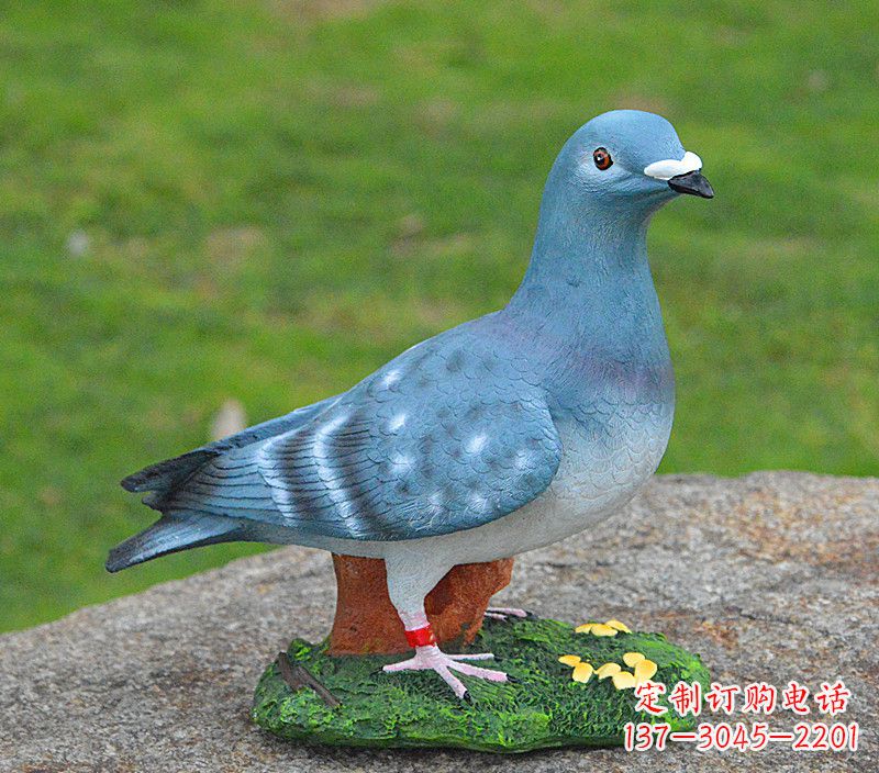 北京和平鸽传承着永恒的爱