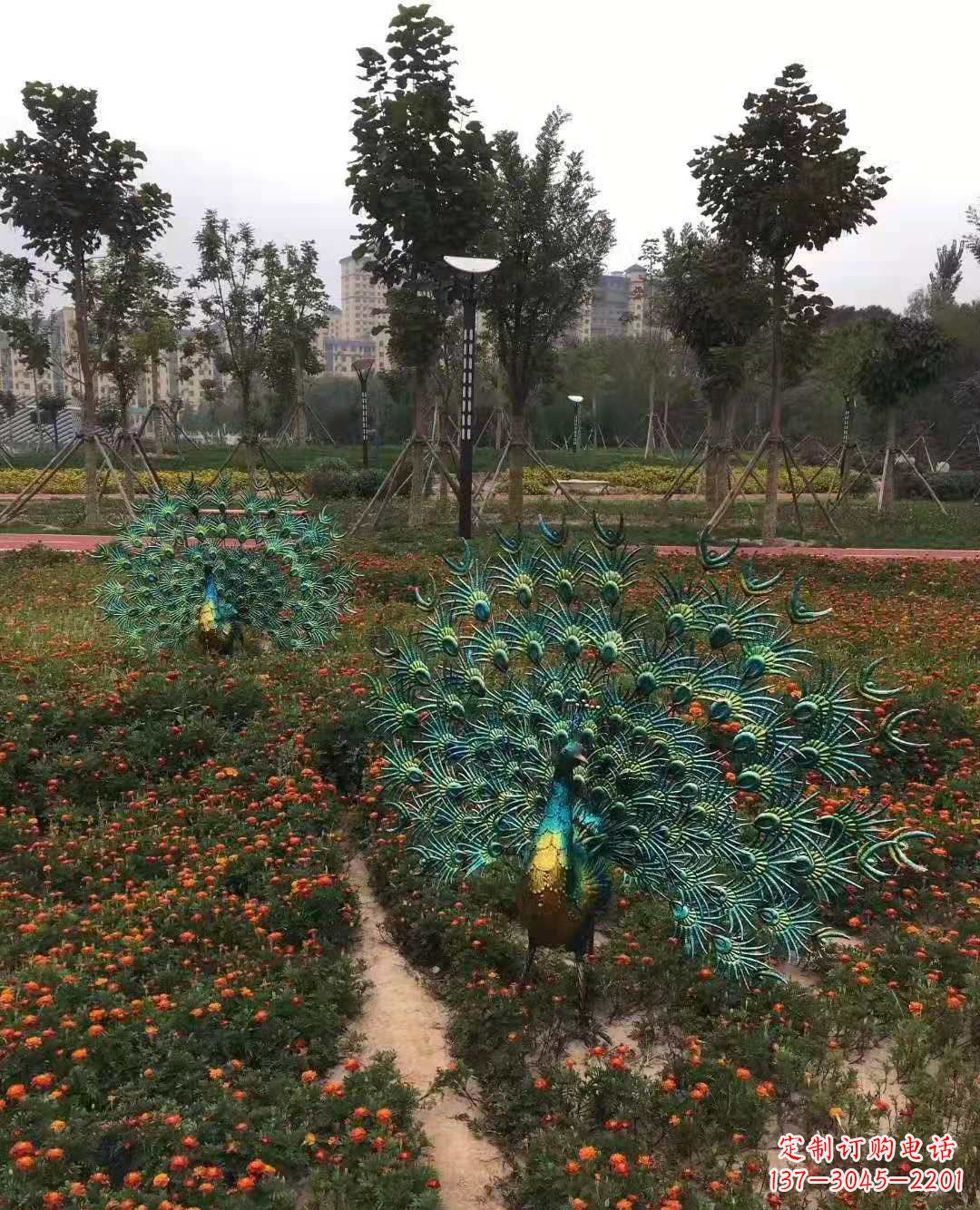 北京不锈钢彩绘孔雀雕塑