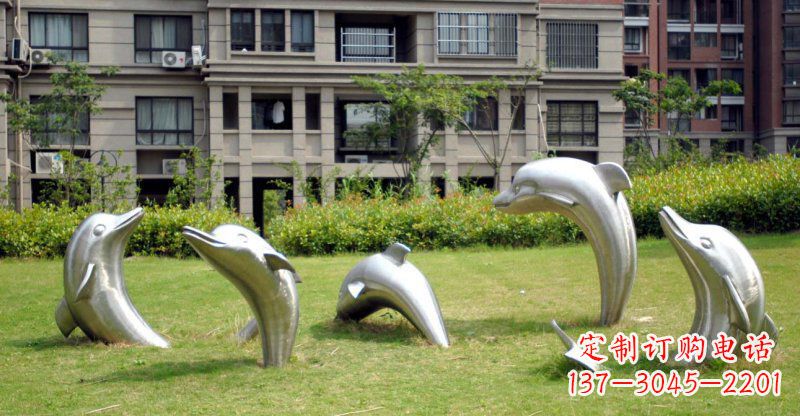 北京海豚的浪漫