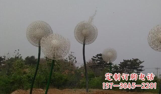 北京蒲公英的绚丽多彩