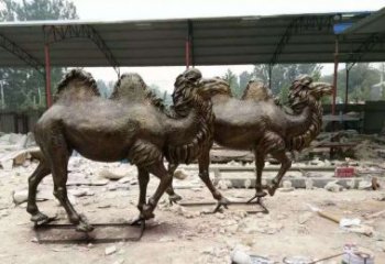 北京欣赏大自然的艺术之作——骆驼铜雕