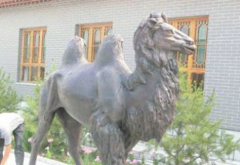 北京精美的骆驼铜雕，提升您的公园气质