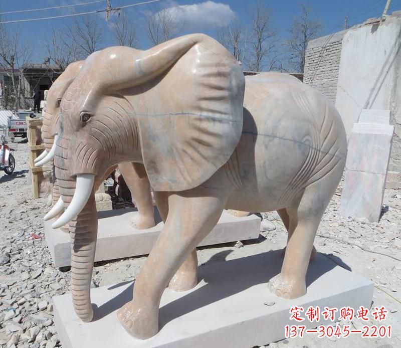 北京晚霞红卷鼻大象